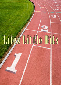 Lifes Little Bits